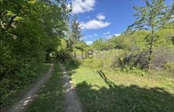 Eladó Dunabogdányi üdülőövezeti telek hirdetés (57692863)