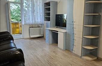 Kiadó Szolnoki tégla lakás hirdetés (95764313)