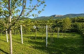 Eladó Váci lakóövezeti telek hirdetés (53397512)