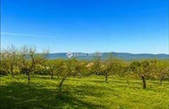 Eladó Váci lakóövezeti telek hirdetés (85925933)