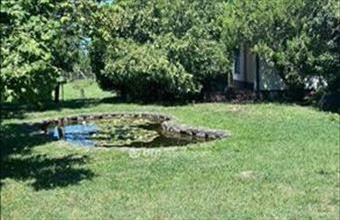 Eladó Ceglédi családi ház hirdetés (27813744)