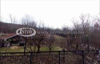 Eladó Eplényi családi ház hirdetés (91642541)