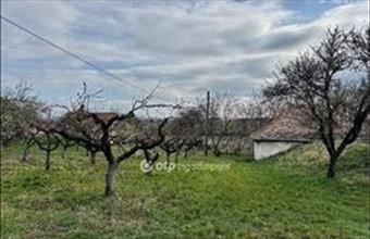 Eladó Etyeki külterületi telek hirdetés (94928442)