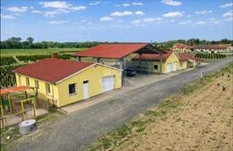 Eladó Balogunyomi termőföld, szántó hirdetés (98371153)
