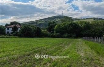 Eladó Tokaji lakóövezeti telek hirdetés (37739441)