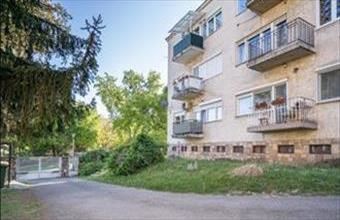 Kiadó Miskolci tégla lakás hirdetés (54633594)