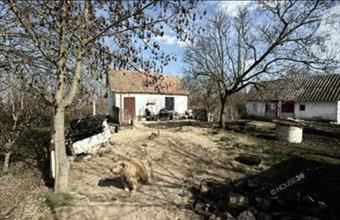 Eladó Kecskeméti tanya hirdetés (87377224)