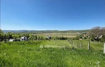 Eladó Pilisszántói külterületi telek hirdetés (55127539)