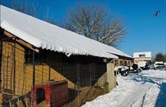 Eladó Tápiószecsői családi ház hirdetés (25933543)