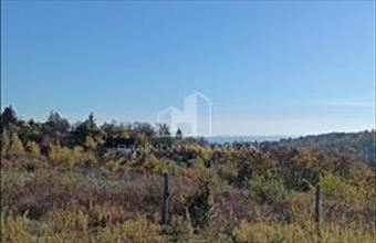 Eladó Balatonkenesei külterületi telek hirdetés (23473532)