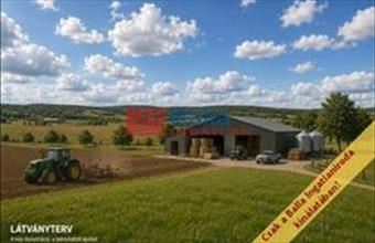 Eladó Őrbottyáni egyéb telek hirdetés (42429662)