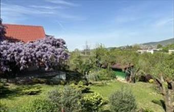 Eladó Budapest XI. kerületi hétvégi ház hirdetés (23793842)