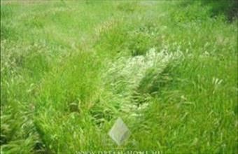 Eladó Kecskeméti lakóövezeti telek hirdetés (87375394)