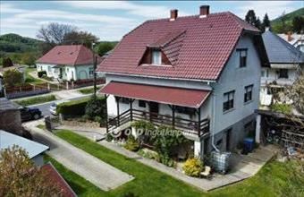 Eladó Pénzesgyőri családi ház hirdetés (53631575)