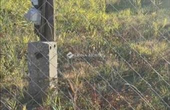 Eladó Szegedi üdülőövezeti telek hirdetés (85749313)