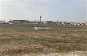 Eladó Algyői egyéb ipari ingatlan hirdetés (53444975)
