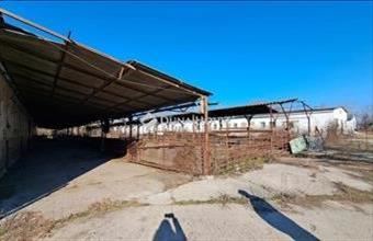Eladó Hódmezővásárhelyi termőföld, szántó hirdetés (89754442)
