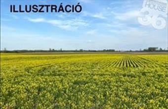 Eladó Kétyi külterületi telek hirdetés (73193224)