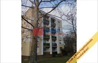 Eladó Szigetszentmiklósi egyéb lakás hirdetés (27483859)