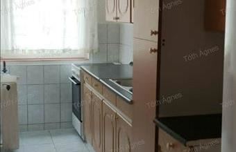 Kiadó Szolnoki panel lakás hirdetés (44897893)