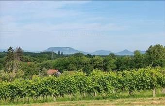 Eladó Balatonboglári lakóövezeti telek hirdetés (61264618)