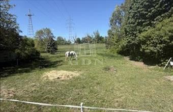 Eladó Szegedi lakóövezeti telek hirdetés (25871367)