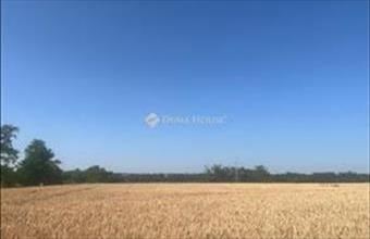 Eladó Balatonszabadi lakóövezeti telek hirdetés (76263585)
