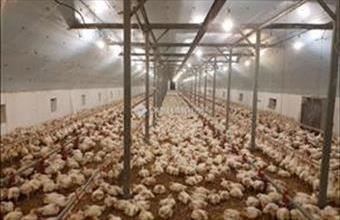 Eladó Mátyásdombi egyéb ipari ingatlan hirdetés (24229971)