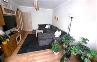 Eladó Budapest XV. kerületi panel lakás hirdetés (43247921)