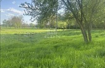 Eladó Balatongyöröki termőföld, szántó hirdetés (35274497)