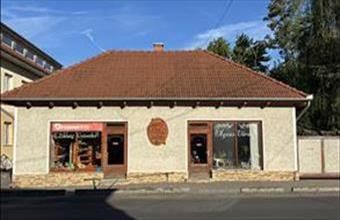 Eladó Nagykátai egyéb üzlethelyiség hirdetés (74876395)