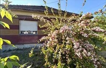 Eladó Miskolci családi ház hirdetés (52229984)