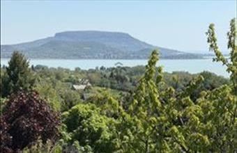 Eladó Balatongyöröki hétvégi ház hirdetés (82113536)