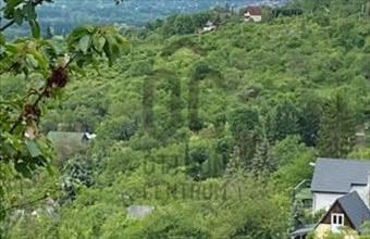 Eladó Váci hétvégi ház hirdetés (45715733)
