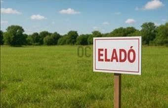 Eladó Debreceni külterületi telek hirdetés (13749393)