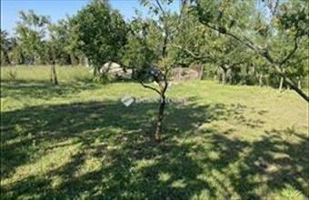 Eladó Győri külterületi telek hirdetés (32539872)
