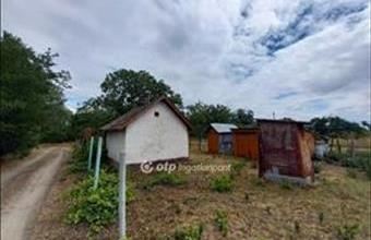 Eladó Csongrádi hétvégi ház hirdetés (66265365)