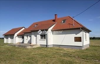 Eladó Mesteri családi ház hirdetés (85963657)