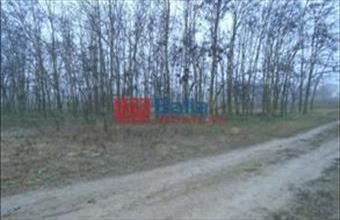Eladó Tiszakécskei egyéb telek hirdetés (74445553)