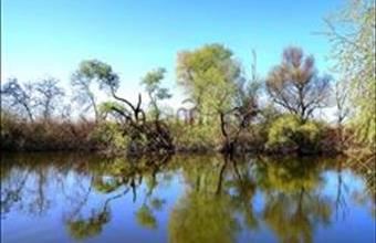 Eladó Tiszafüredi lakóövezeti telek hirdetés (25536677)