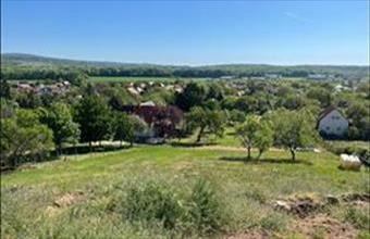 Eladó Pákozdi üdülőövezeti telek hirdetés (65672741)