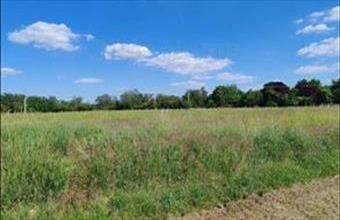Eladó Balatonszárszói lakóövezeti telek hirdetés (93834634)