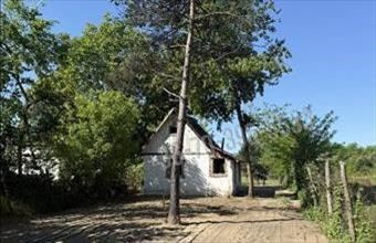 Eladó Gödöllői egyéb mezőgazdasági ingatlan hirdetés (23318636)