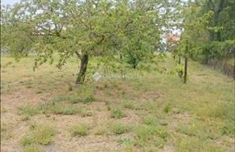 Eladó Székesfehérvári lakóövezeti telek hirdetés (97271788)