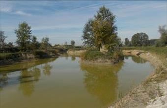 Eladó Csengelei egyéb mezőgazdasági ingatlan hirdetés (94975775)