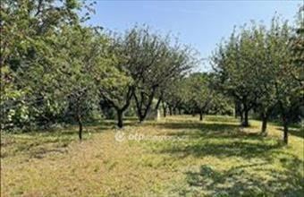 Eladó Diósdi lakóövezeti telek hirdetés (43324278)