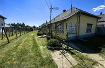 Eladó Kunhegyesi családi ház hirdetés (41256717)