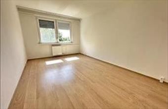 Kiadó Budapest IV. kerületi egyéb lakás hirdetés (56787939)