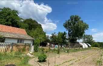 Eladó Bugacpusztaházai családi ház hirdetés (45243149)