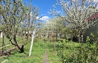 Eladó Biatorbágyi üdülőövezeti telek hirdetés (31325394)